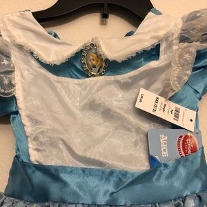 Disney Dresses - Alice in wonderland Disney Dresses - Alice in wonderland